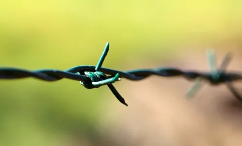 Grüner Stacheldraht mit PVC-Beschichtung auf einem Metallzaun