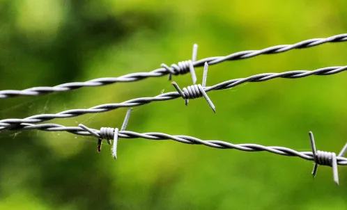 Verzinkter Stacheldraht entlang einer Zaunlinie