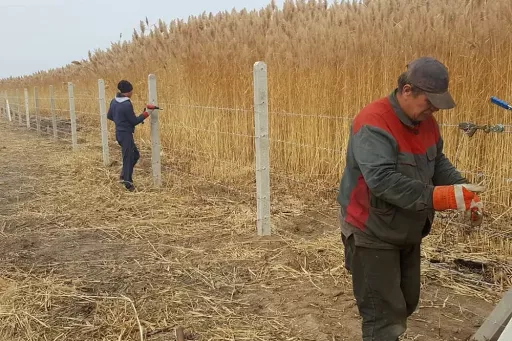 Processus d’installation du fil barbelé sur des poteaux en béton