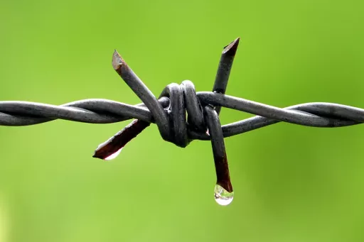 Fil barbelé à double fil porteur – vue rapprochée