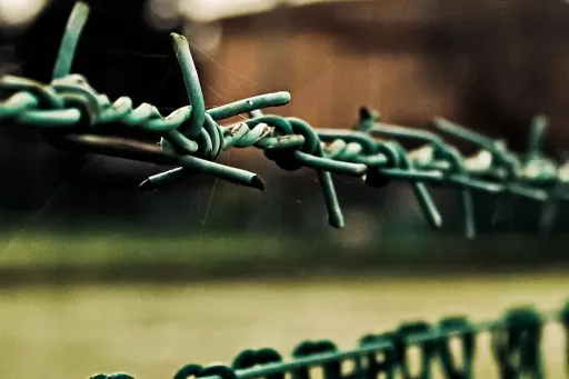 Fil barbelé avec revêtement PVC de couleur verte, tendu le long d’une clôture