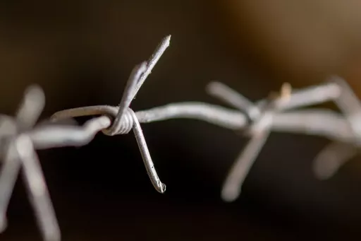 Fil barbelé à simple fil porteur pour la protection du territoire