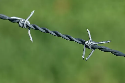 Fil barbelé galvanisé