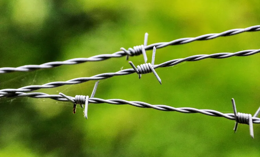 Verzinkter Stacheldraht entlang einer Zaunlinie